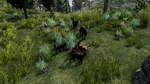WQ-AE black-black-litter small.jpg (1.01 MB) A litter born to two black parents.