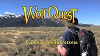 WolfQuest Goes to Yellowstone: Amethyst Mountain posted 7-Dec-2017