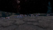 Livestock ranch (3.18 MB) Visit a cattle ranch, where ranchers guard their livestock