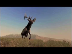 Hooves of Hurt posted 20-Oct-2017