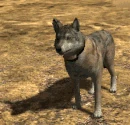 Emote-avertgazef (2.7)