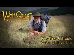 Reality Check: Back in Yellowstone! posted 23-Sep-2021