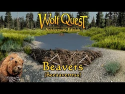 Beavers (Beeaaverrrss) posted 1-Apr-2021