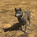 Emote-tailupf (2.7)