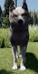 WQ-AE Emote woof-front