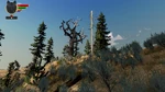 WQ-AE AM gnarled-tree-c