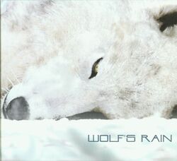 ① WOLF’S RAIN 直筆原画 ウルフズレイン WOLF’SRAIN 新品同様 | (manga) Rain Wolf's Wolf's Fandom | Wiki Rain