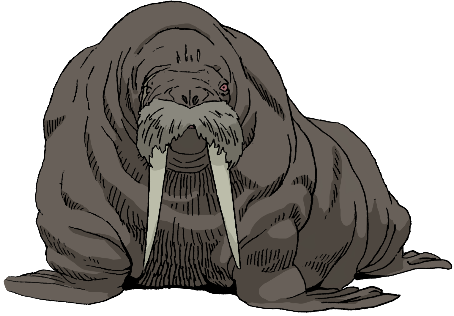 walrus moustache - Tag - Anime - AniDB