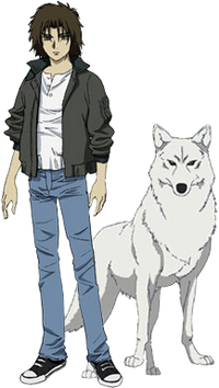 Kiba Wolf S Rain Wiki Fandom