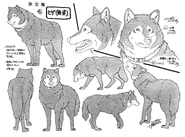 Hige's wolf-form settei.
