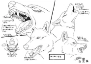 Wolf mouth settei.