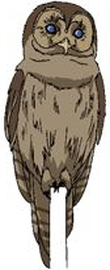 Owl | Wolf's Rain Wiki | Fandom