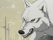 EP01 - Kiba Wolf.png (529 KB)