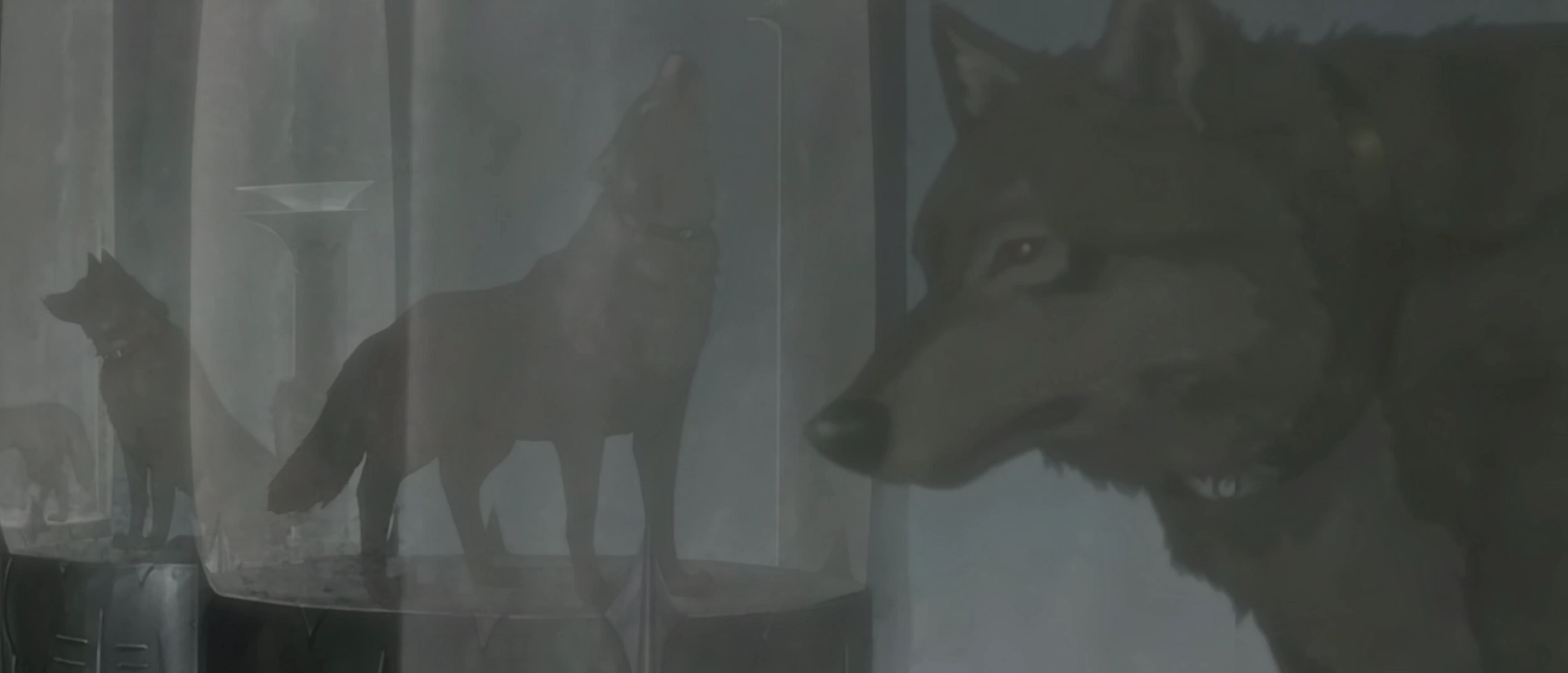 Wolf Packs | Wolf's Rain Wiki | Fandom