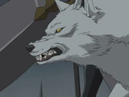 EP24 - Kiba wolf.jpg (87 KB)