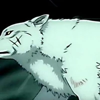 Vhgookr38b3kcm https wolfsrain fandom com wiki gravity song