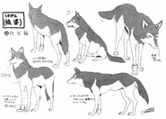 Toboe's wolf-form settei.