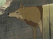 EP02 - Toboe hiding behind crates.jpg (41 KB)