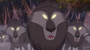 Wolves