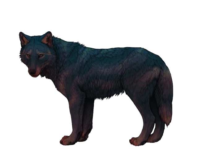 Applicators Wolvden Wiki Fandom