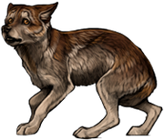 Coigreach exploring puppy