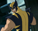 Wolverine profile