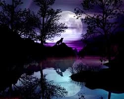 Wolves Fanfiction Wiki