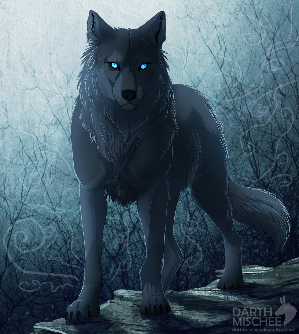 sad black wolf