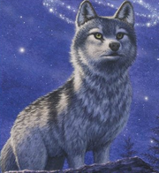 Frost Wolf Faolan.png