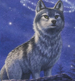 Frost Wolf Faolan