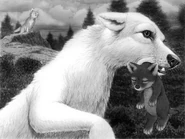 6446265.png (51 KB) Part 2