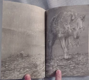 B2 jap img 7.jpg (1.73 MB)