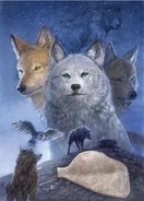 Shadow Wolf Japanese.png (1.35 MB) Titleless Japanese edition