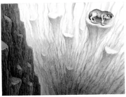 Part 2.jpg (67 KB) Book 5 Part 2