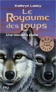 French edition