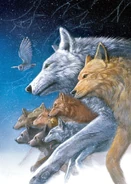 Spirit Wolf Japanese.png (1.36 MB) Titleless Japanese cover