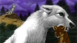 Wolves Of The Beyond Wiki Fandom