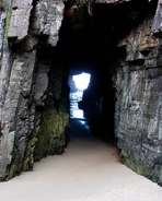 The Cave Before Time (106 KB) The Cave Before Time