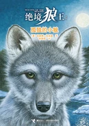 Simplified Chinese edition