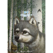 Shadow Wolf CHS.jpg (114 KB) Simplified Chinese edition