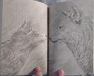 B2 jap img 11.jpg (1.77 MB)