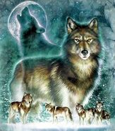 GrayWolf