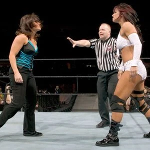 WWE WrestleMania XX | Womenswrestlingdatabase Wiki | Fandom