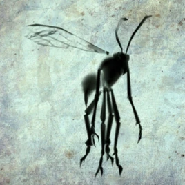 Чернильная Оса