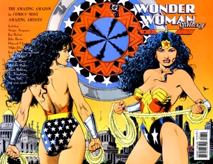 Wonder Woman Gallery wraparound