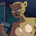 Sheryl Lee Ralph Justice League Unlimited (2002)