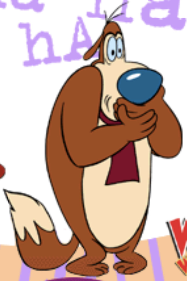 Woody woodpecker store dog