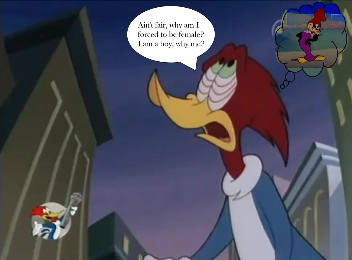 The Woody Woodpecker Polka | The Woody Woodpecker Wiki | Fandom