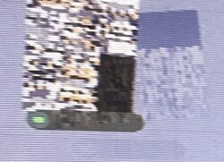 MissingNo., woomy-arras.io Wiki