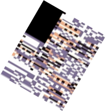 MissingNo., woomy-arras.io Wiki